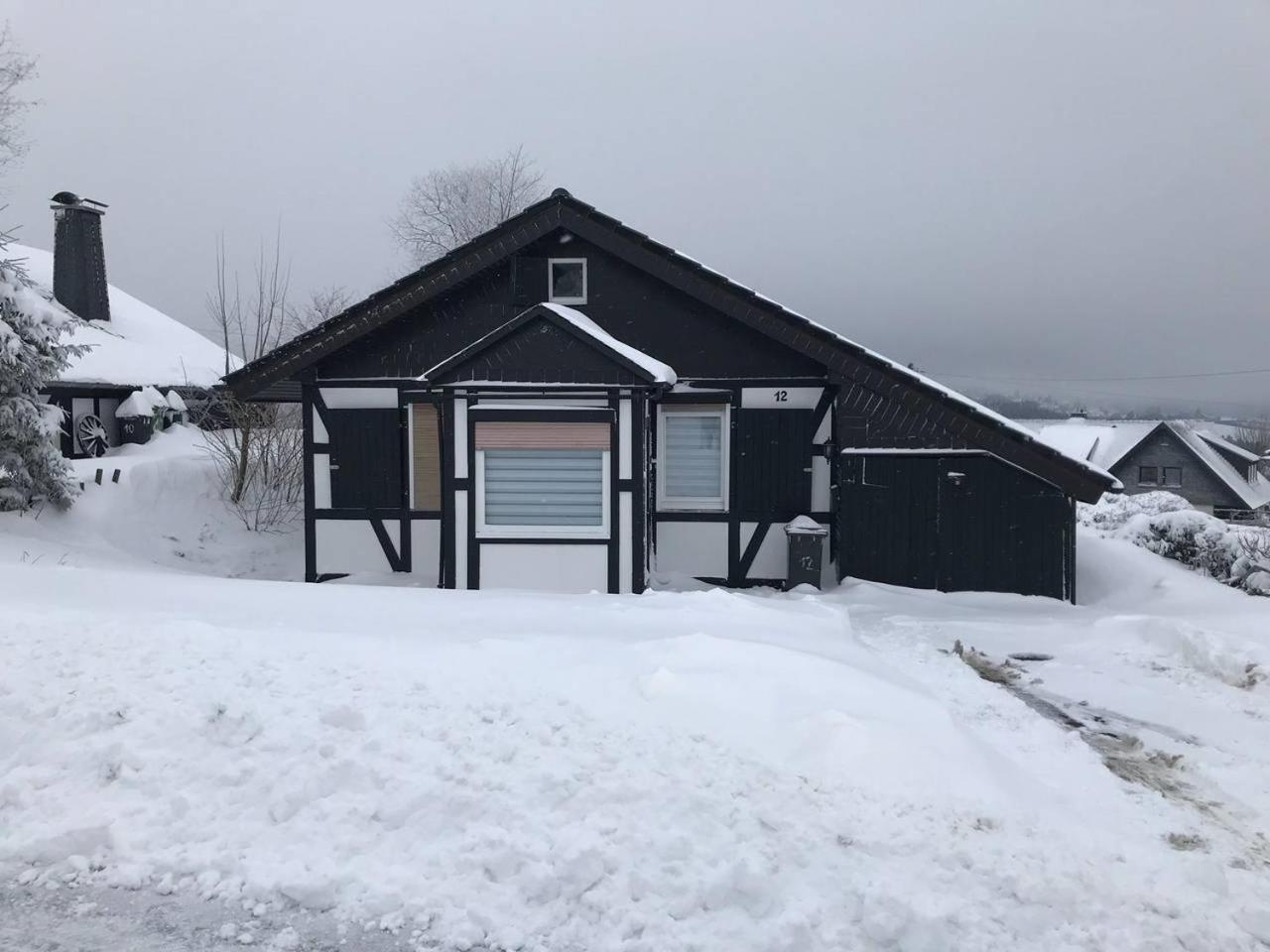 Ferienhaus Hohenblick In Winterberg-Langewiese Экстерьер фото